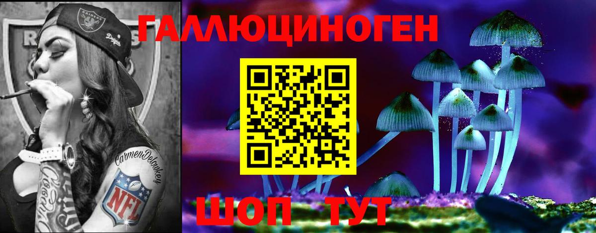 Камень-на-Оби  Псилоцибиновые грибы Cubensis  Псилоцибиновые грибы мухоморы  Вход с VPN 